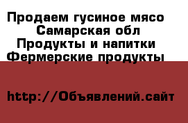 Продаем гусиное мясо - Самарская обл. Продукты и напитки » Фермерские продукты   